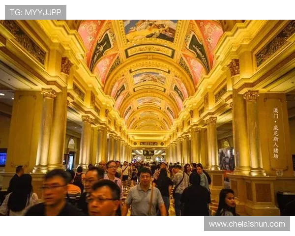 十六浦澳门交通攻略，方便快捷的出行方式助你轻松探索澳门各大景点