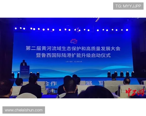 新濠国际发展有限公司在推动区域经济发展中的作用与社会责任履行情况分析