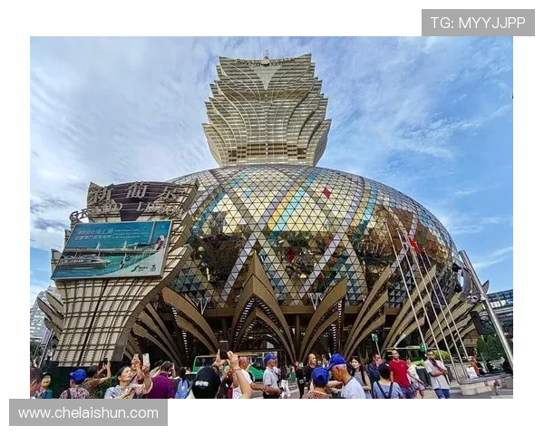 澳门一共有几家赌场，澳门赌场数量变化趋势及未来发展预测