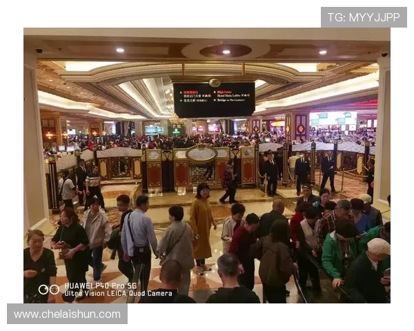 澳门十大赌场娱乐项目：丰富多彩的游戏与表演活动推荐