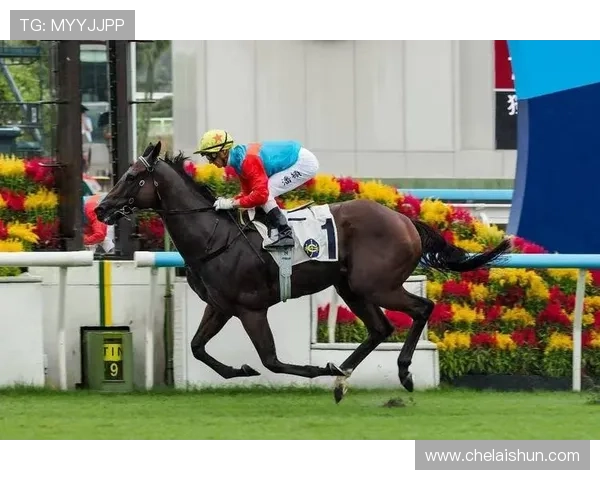 hkjc网娱乐：香港赛马会网上娱乐平台的用户评价与使用体验分享